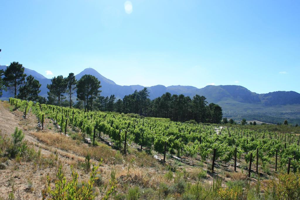 Lalapanzi Lodge Somerset West Ngoại thất bức ảnh