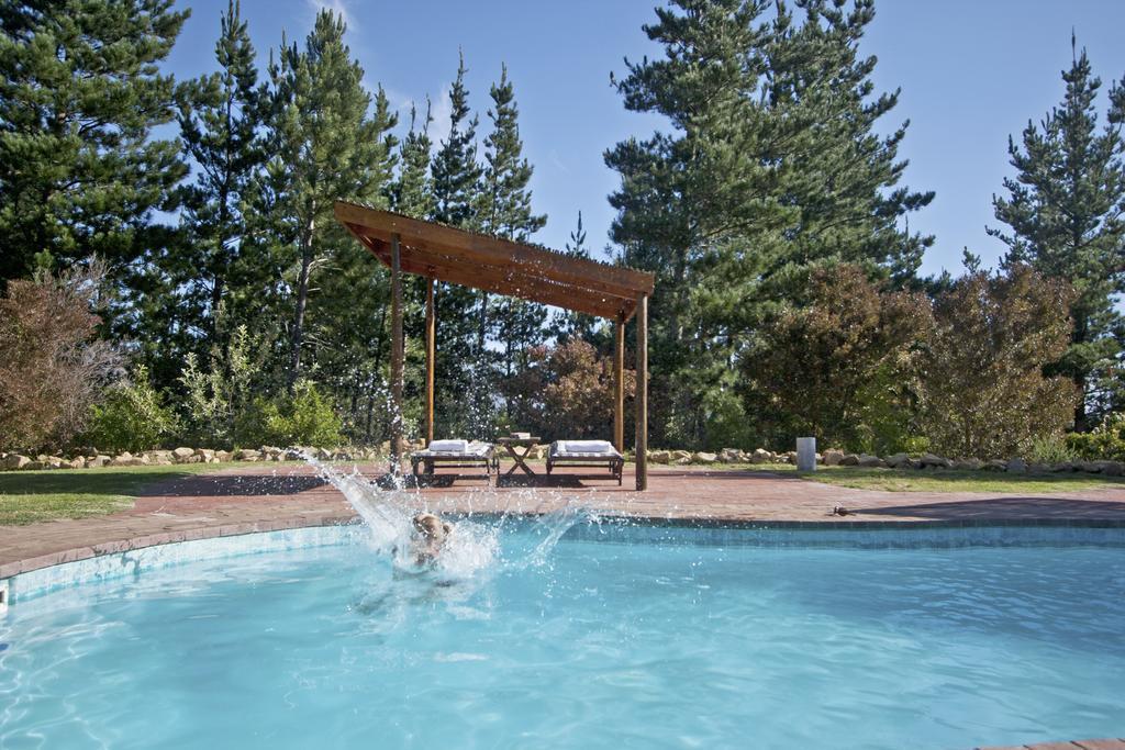 Lalapanzi Lodge Somerset West Phòng bức ảnh